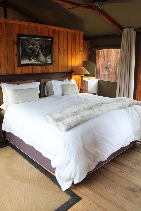 Addo Elephant Lodge & Safaris Kirkwood Zimmer foto