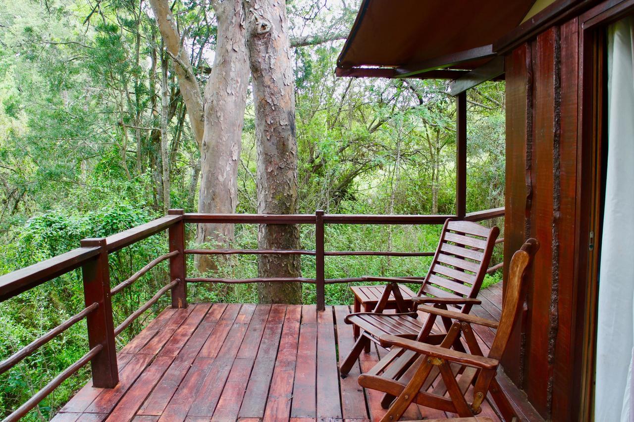 Addo Elephant Lodge & Safaris Kirkwood Exterior foto